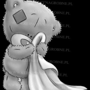 Miś do graweru pomnik dziecięcy