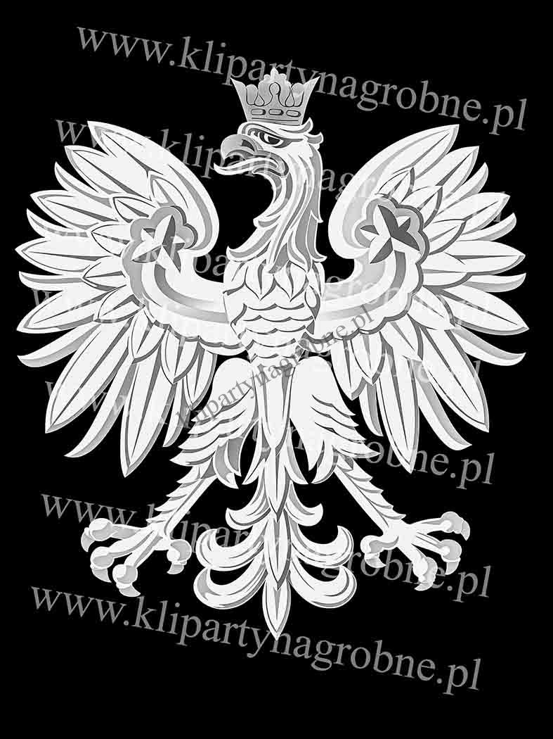 Orzeł grafika do graweru | Kliparty nagrobne